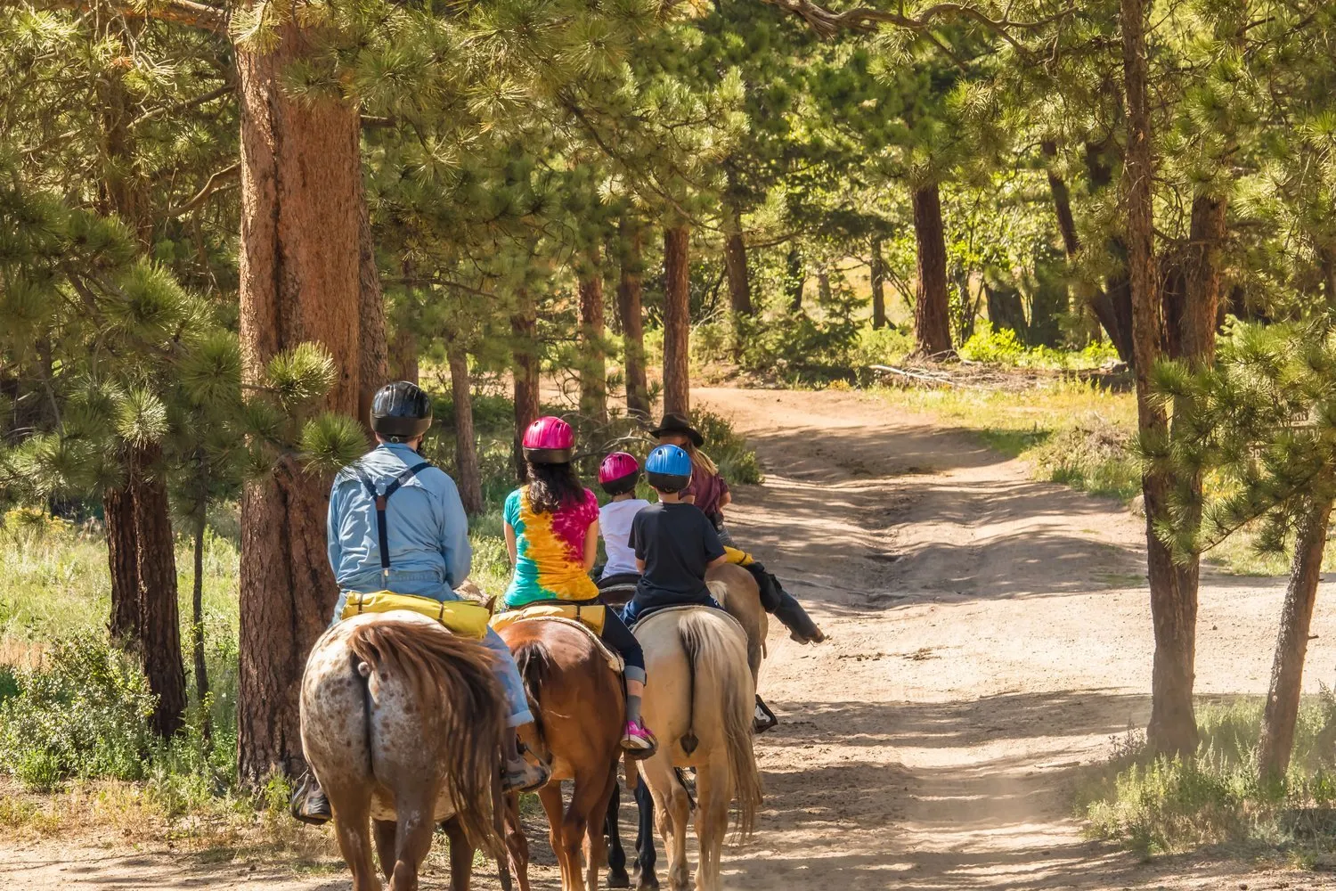horseback riding